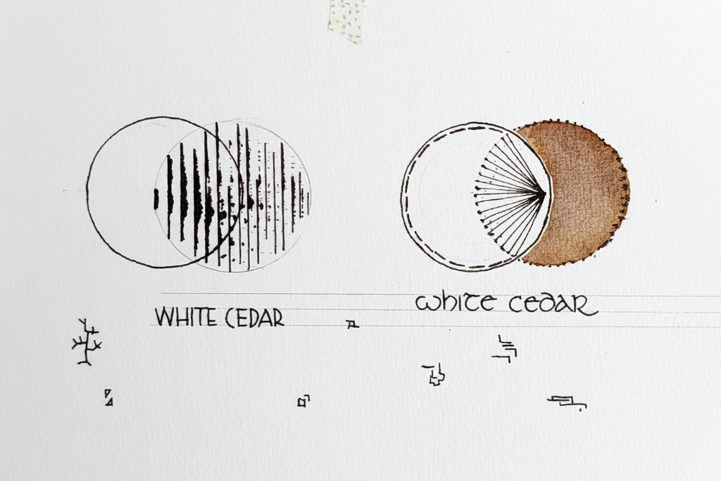 Shanghai Stationary Fountain Pen Ink - White Cedar - 50ml Bottle