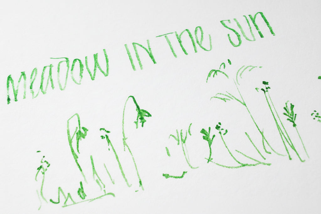 Shanghai Stationary Fountain Pen Ink - Meadow in the Sun - 50ml Bottle