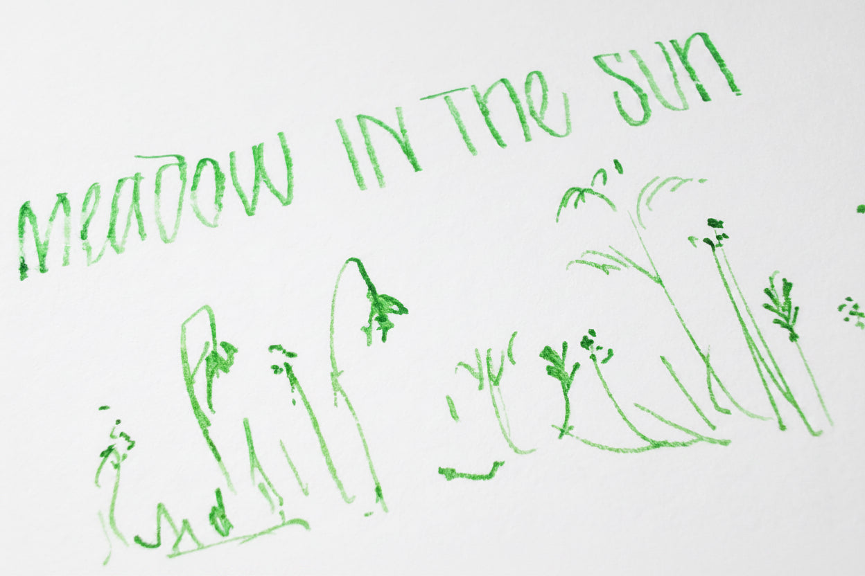 Shanghai Stationary Fountain Pen Ink - Meadow in the Sun - 50ml Bottle