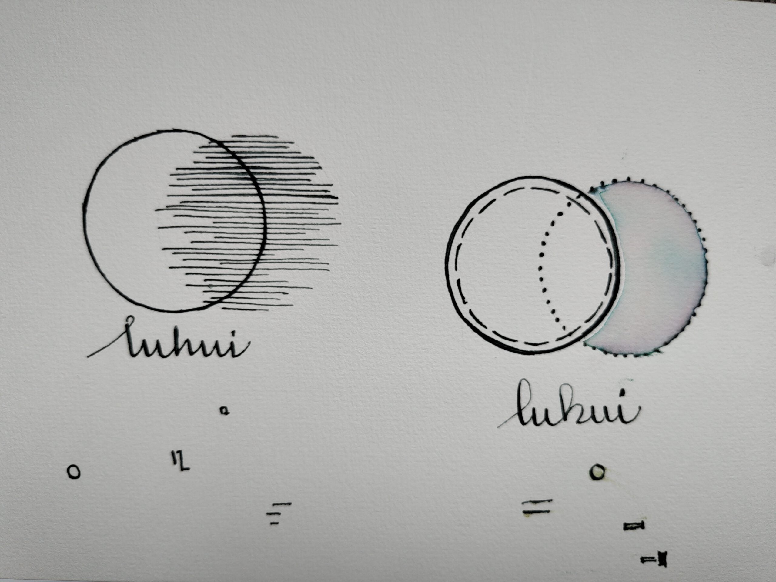 Shanghai Stationary Fountain Pen Ink - Luhui - 50ml Bottle