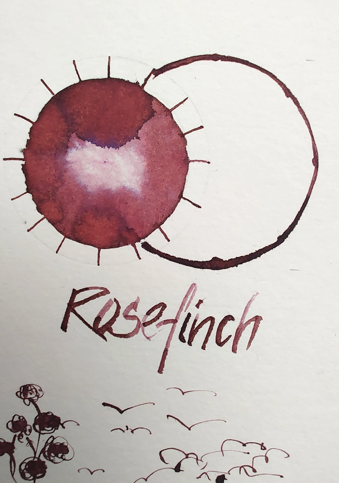 Shanghai Stationary Fountain Pen Ink - Rosefinch - 50ml Bottle